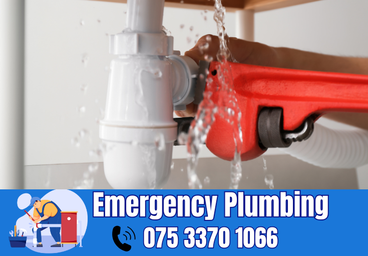  plumber Swalecliffe