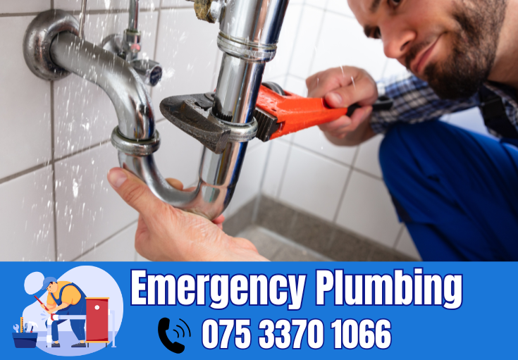  plumber Tankerton